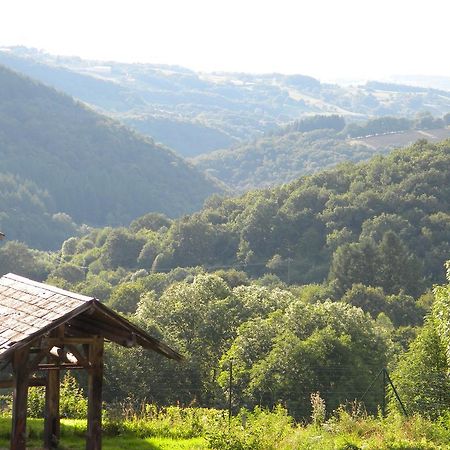 Вилла Domaine Du Randier Ferrieres-sur-Sichon Экстерьер фото