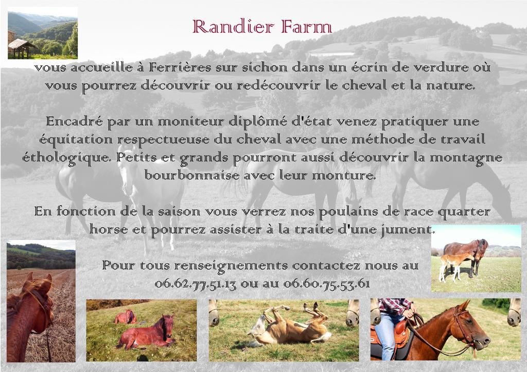 Вилла Domaine Du Randier Ferrieres-sur-Sichon Экстерьер фото
