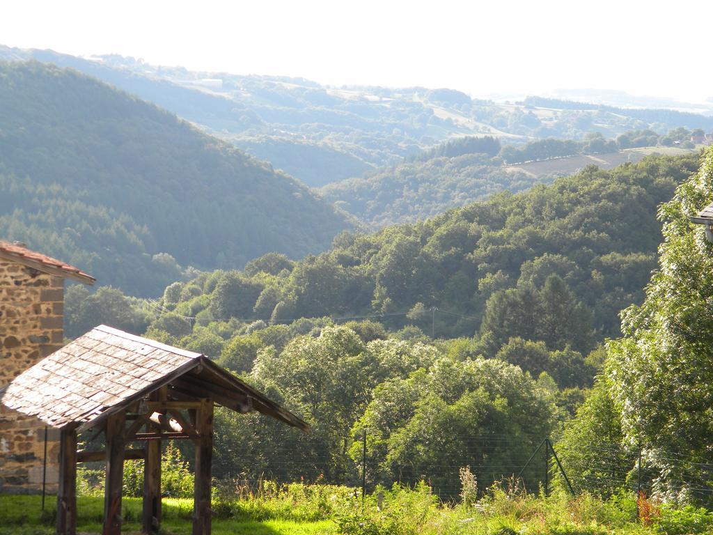 Вилла Domaine Du Randier Ferrieres-sur-Sichon Экстерьер фото